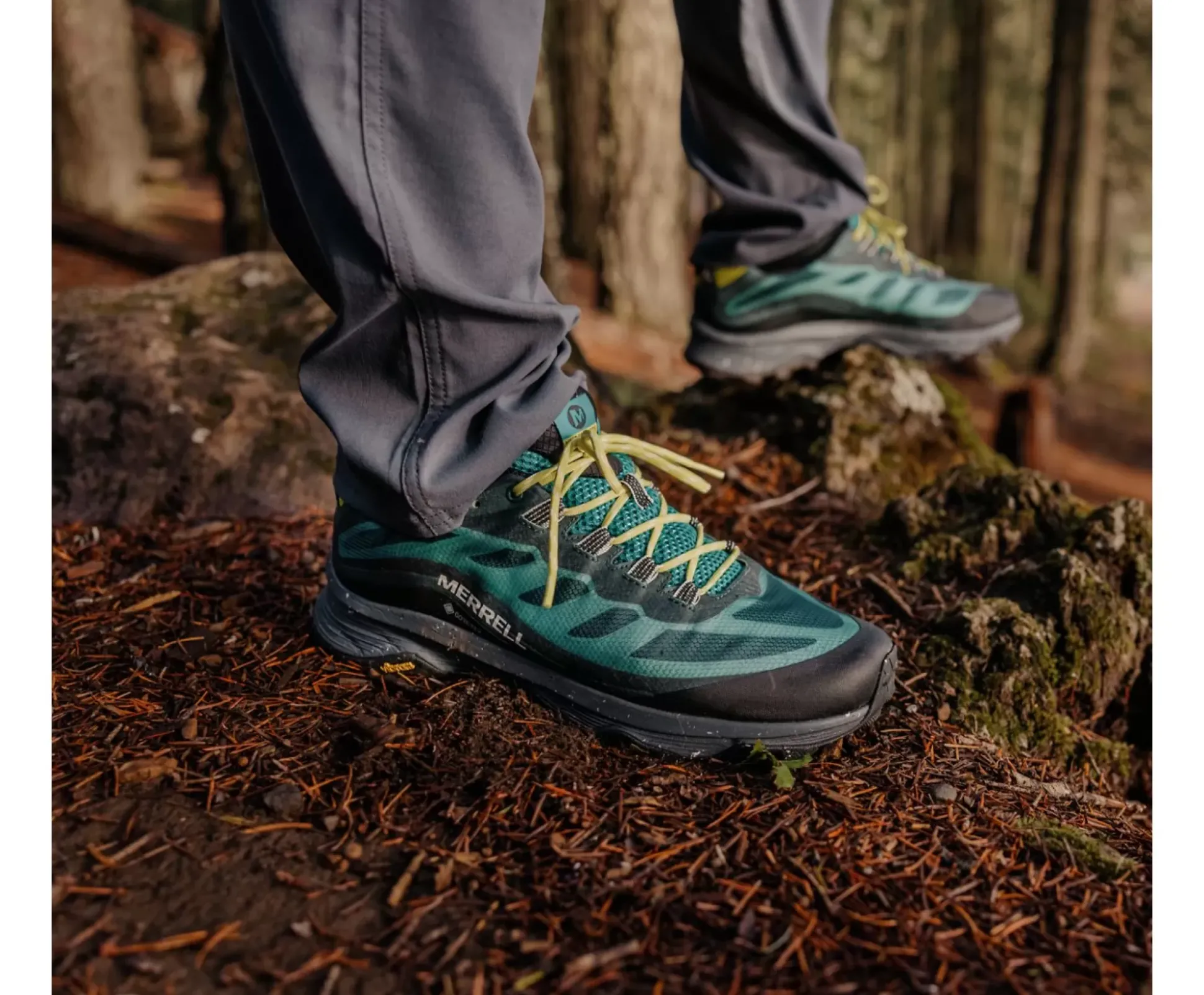 Moab Speed Gore-Tex®